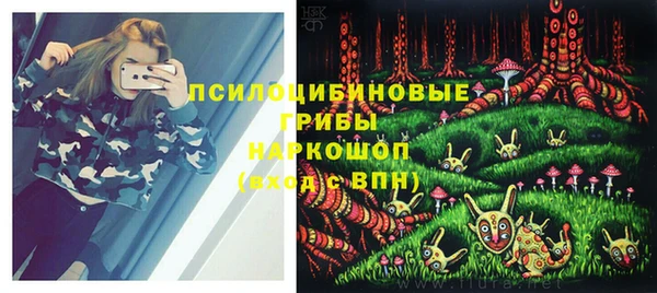 прущие крисы Абинск