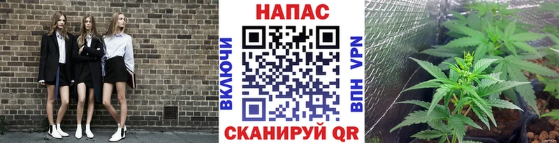 Бошки Шишки конопля  наркошоп  Азов 